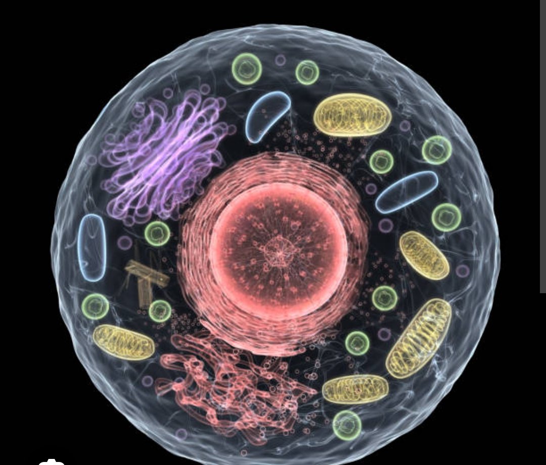 Screenshot_20251103-000925